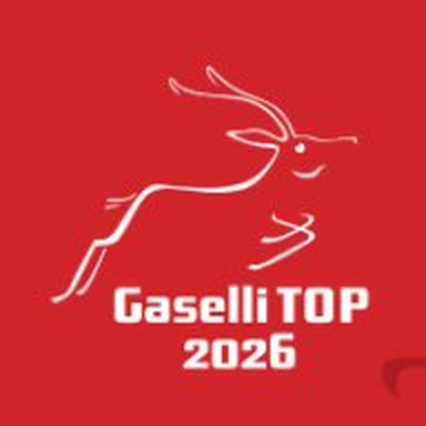 Gaselli TOP 2026